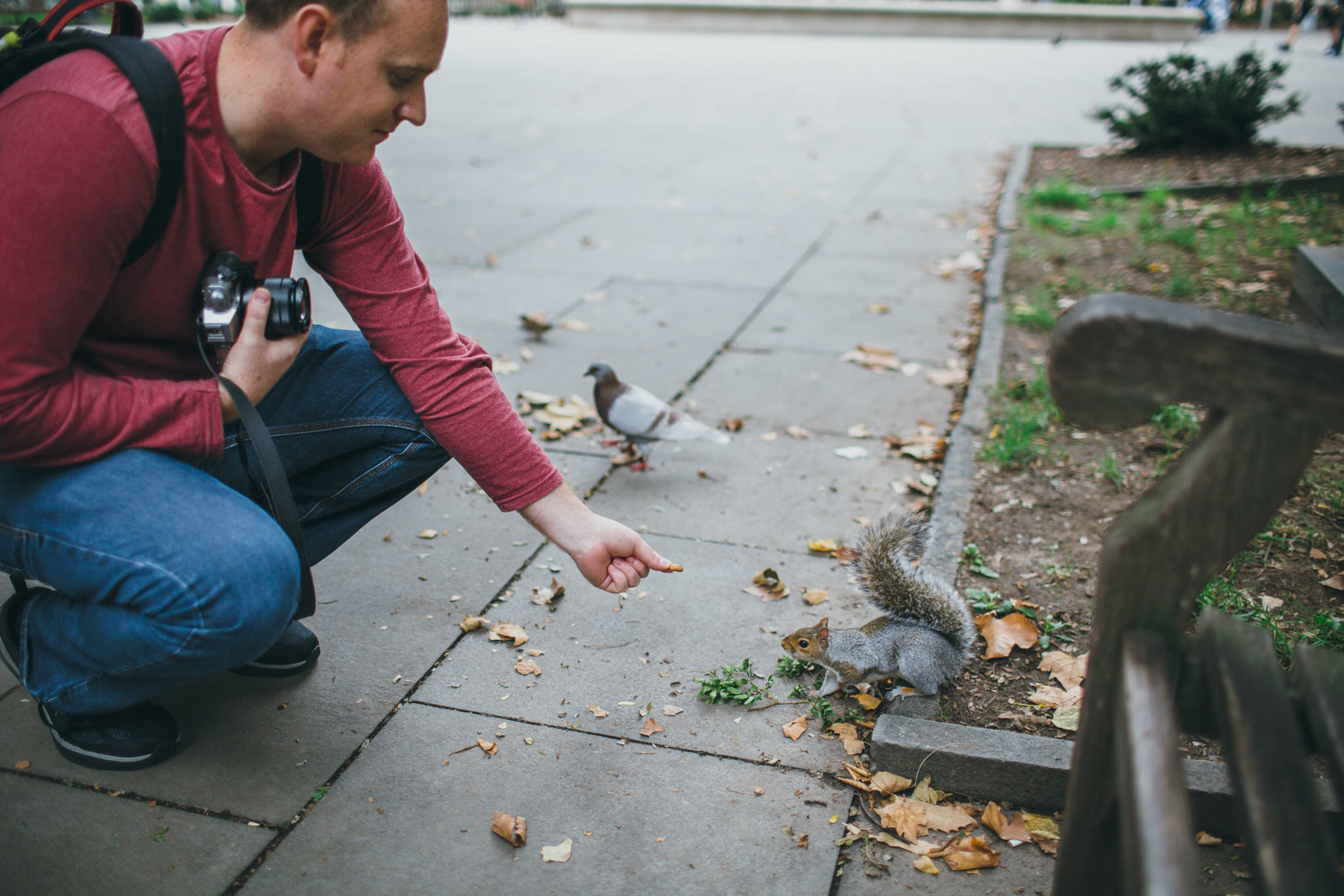Man feeds nut to a squirrel