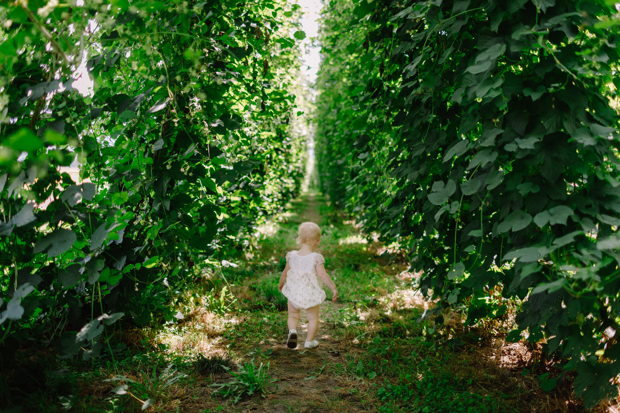girl walking through hops