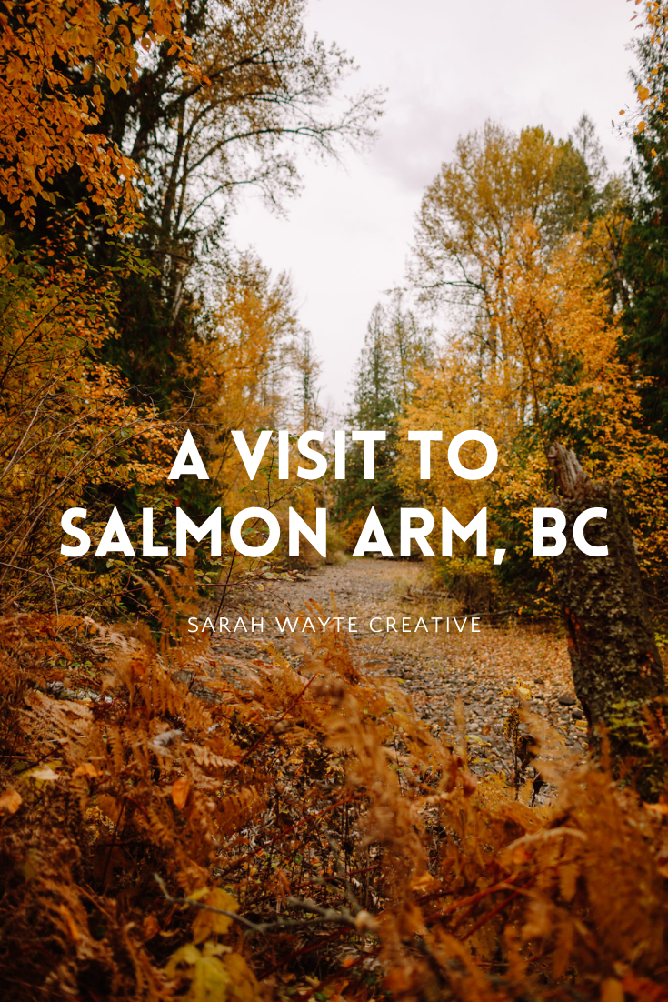 autumn in salmon arm bc