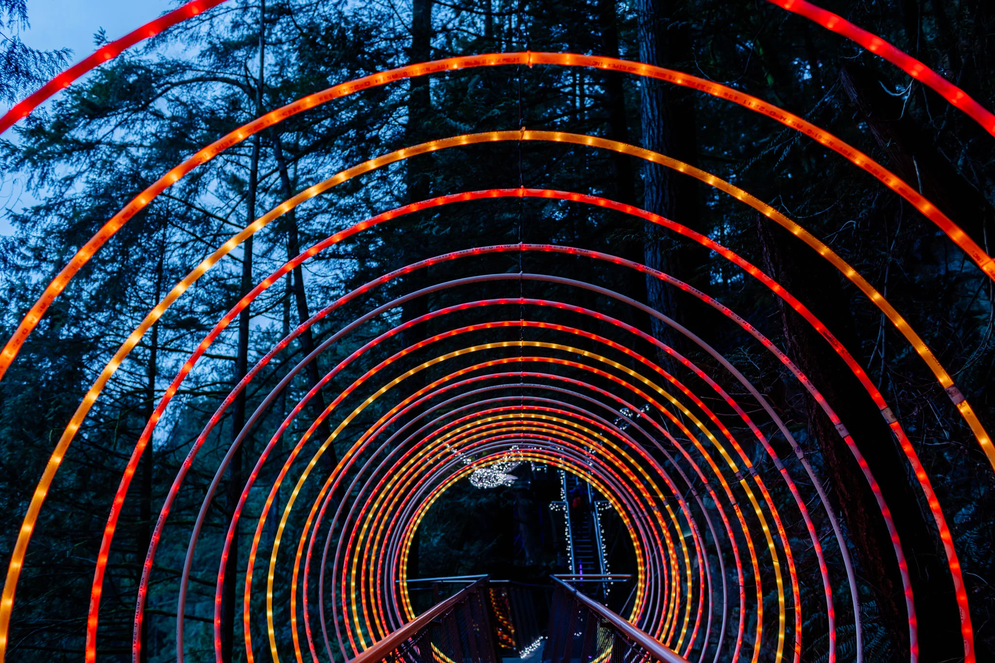 Capilano Christmas Lights, light tunnel Year in Review 2022